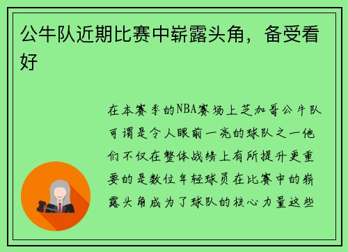 公牛队近期比赛中崭露头角，备受看好