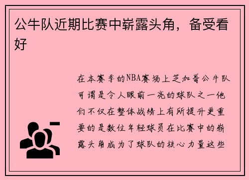 公牛队近期比赛中崭露头角,备受看好
